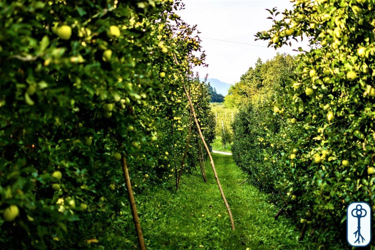 Casa Vacanze Antico Eremo, Tra Natura E Tradizione カンポデンノ エクステリア 写真