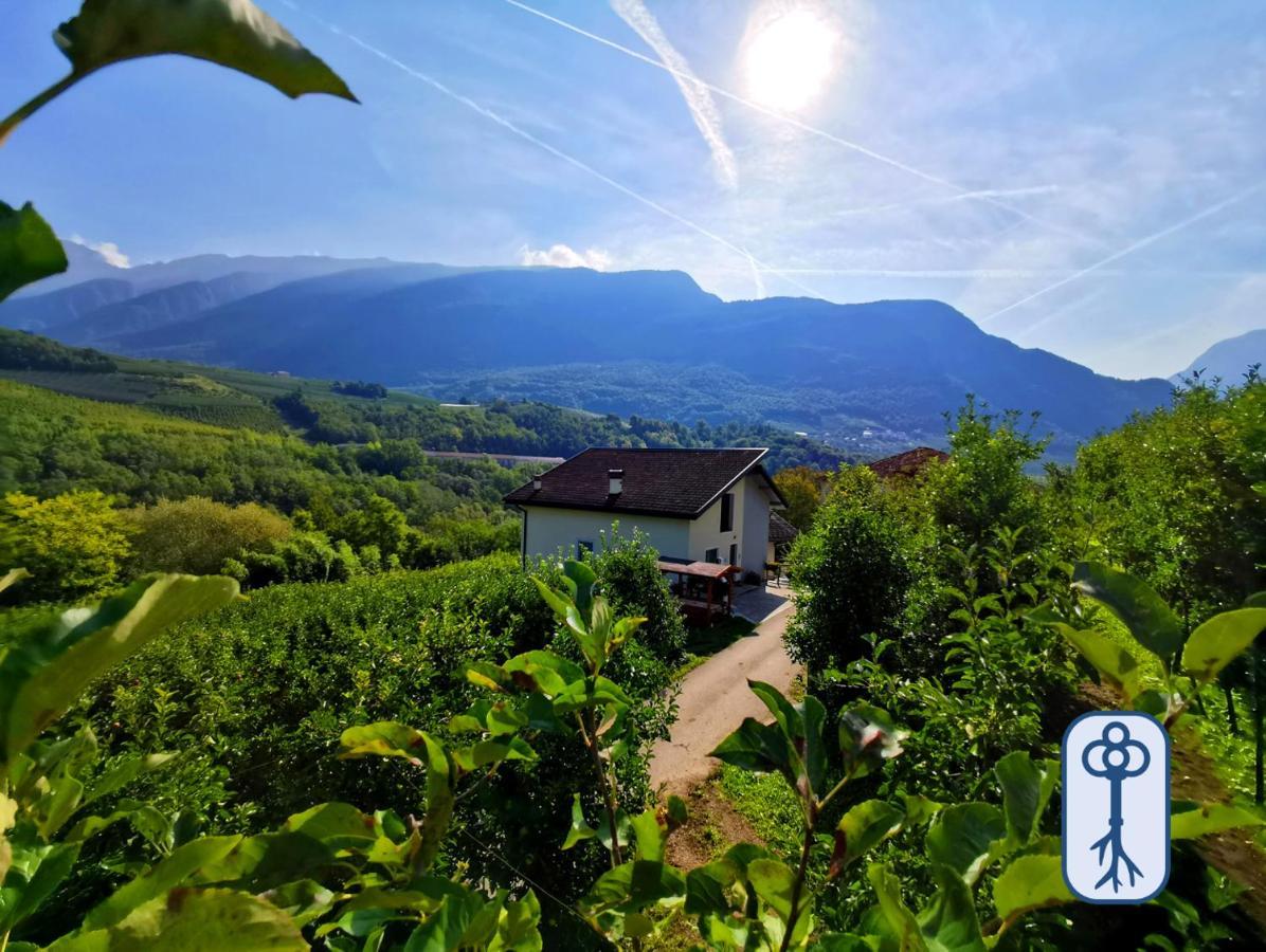 Casa Vacanze Antico Eremo, Tra Natura E Tradizione カンポデンノ エクステリア 写真