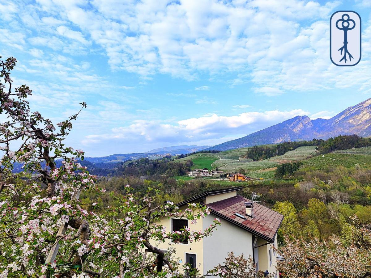 Casa Vacanze Antico Eremo, Tra Natura E Tradizione カンポデンノ エクステリア 写真